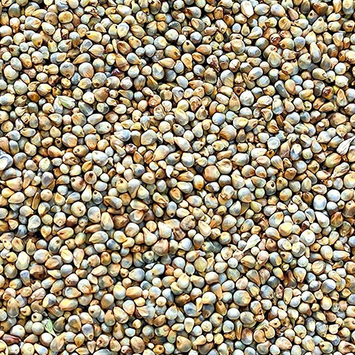 Image hover effect image